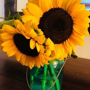 Meet your Posher, Sami